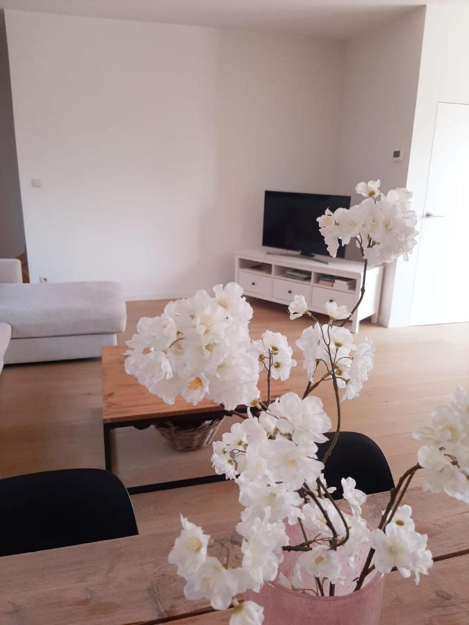 Luxe Duplex Appartement Mavi Gistel Exterior photo
